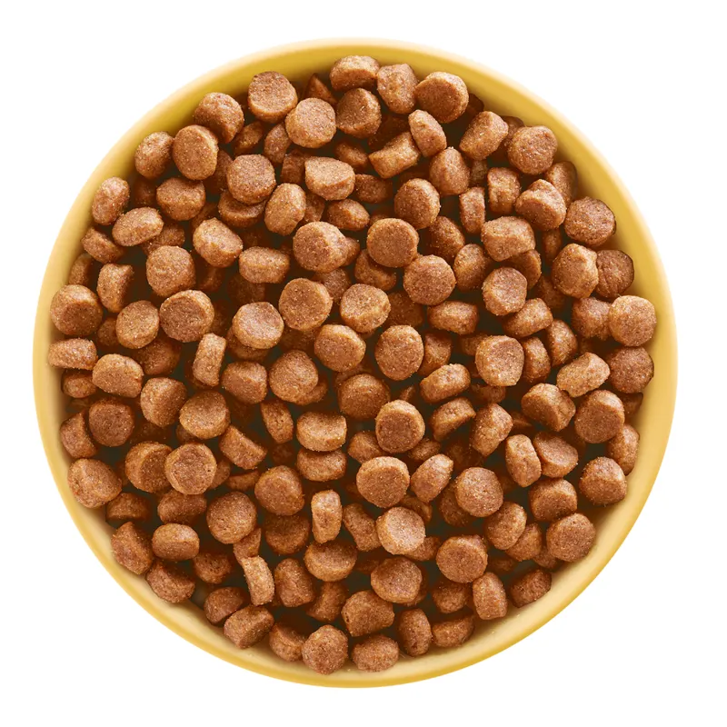 Pedigree Complete Puppy/Junior-6